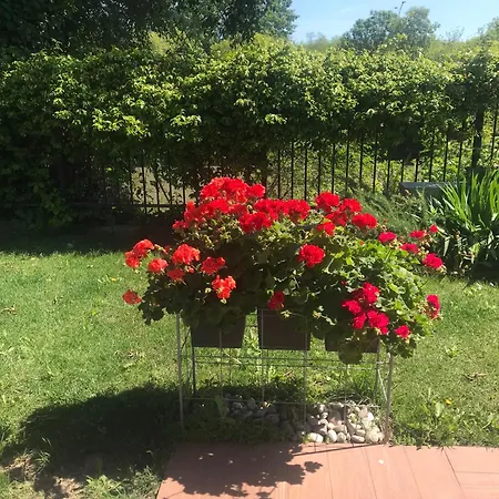 ベッド・アンド・ブレックファスト D'este