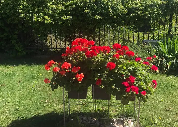 Bed & Breakfast D'este